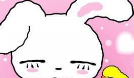 兔兔动漫,萌动青春，梦想启航